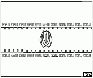 desenho de Bandeira do Irão ou Irã para colorir