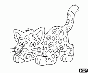 desenho de Bebê Jaguar, amigo do Diego para colorir