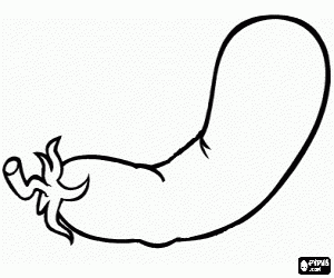 desenho de Berinjela, uma fruta comestível para colorir