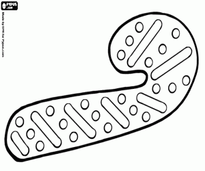 desenho de Biscoito de Natal como bastão de doces para colorir