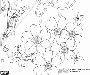 desenho de Blackie e as flores cerastium para colorir