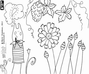 desenho de Blackie e as plantas catananche para colorir
