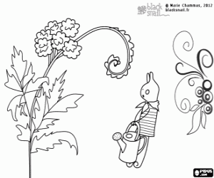 desenho de Blackie e as plantas phacelias para colorir