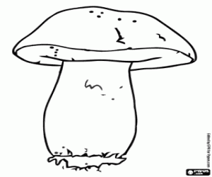 desenho de Boletus edulis, um cogumelo para colorir
