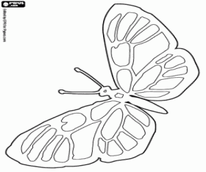 desenho de Borboleta com asas manchas para colorir