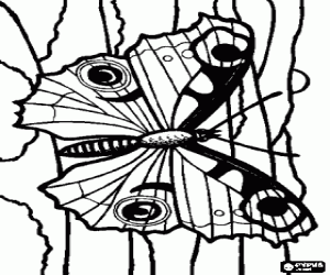 desenho de Borboleta em um tronco para colorir