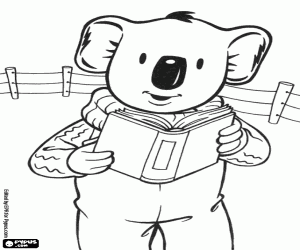 desenho de Buster, o coala, lê um livro para colorir