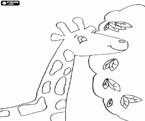 desenho de Cabeça da girafa que come as folhas para colorir