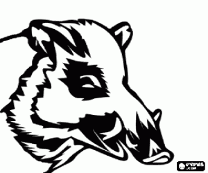 desenho de Cabeça de javali com presas para colorir