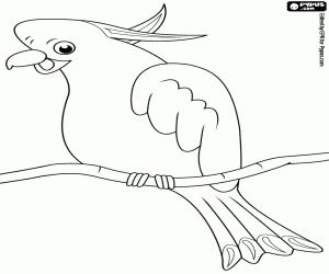 desenho de Cacatua-de-crista-amarela para colorir