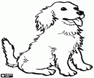 desenho de Cachorro com a língua para fora para colorir