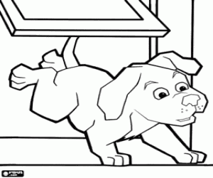desenho de O cachorro entra na casa para colorir