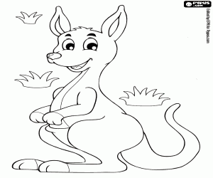 desenho de Um canguru, um animal australiano para colorir