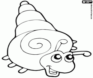 desenho de Caracol do mar para colorir
