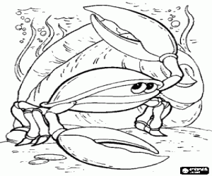 desenho de Caranguejo no fundo do mar para colorir