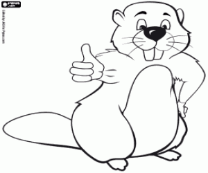 desenho de Castor para colorir