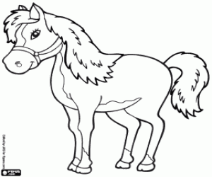 desenho de Cavalo de competição para colorir