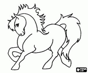 desenho de Um cavalo com uma longa juba para colorir