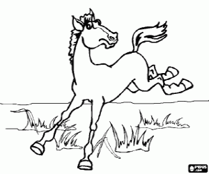 desenho de O cavalo que salta pela pradaria para colorir