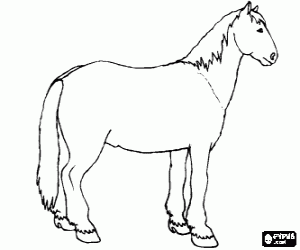 desenho de Cavalo para colorir