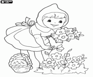desenho de Chapeuzinho vermelho e as flores para colorir