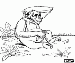 desenho de Um chimpanzé com uma banana para colorir