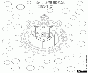desenho de Chivas, campeão do Clausura 2017 para colorir