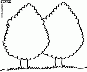 desenho de Dois cipreste, Cupressus para colorir