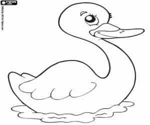 desenho de O cisne para colorir