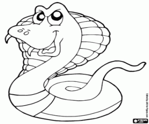 desenho de Cobra para colorir