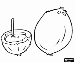 desenho de Dois cocos para colorir