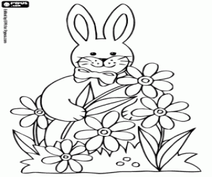 desenho de Um coelho e flores da Primavera para colorir