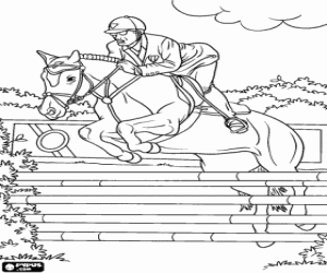 desenho de Um concurso de salto equestre para colorir
