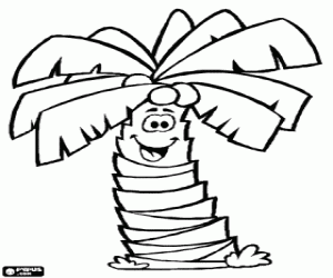 desenho de Coqueiro, palmeira com cocos para colorir