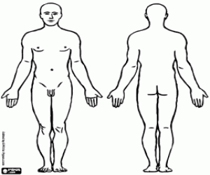 desenho de O corpo de um homem para colorir