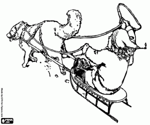 desenho de Criança em um trenó com um husky para colorir