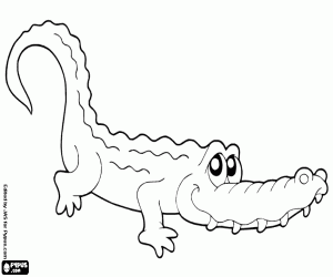 desenho de Crocodilo, um réptil para colorir