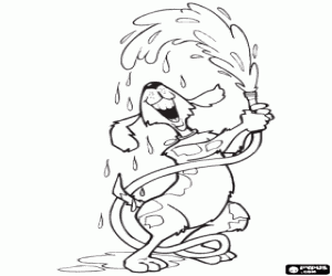 desenho de O cão brinca com água para colorir