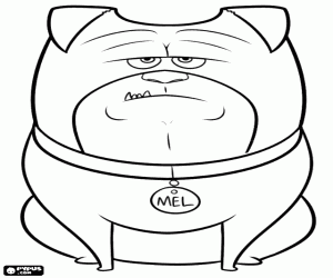 desenho de Um cão de companhia, Mel para colorir