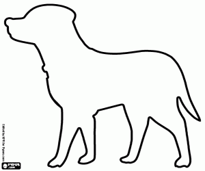 desenho de Cão labrador com coleira, silhueta para colorir