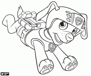 desenho de O cão labrador Zuma de Paw Patrol para colorir