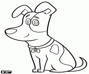 desenho de O cão mimado Max para colorir