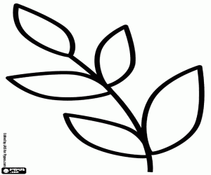 desenho de Desenho simples de ramo de louro para colorir