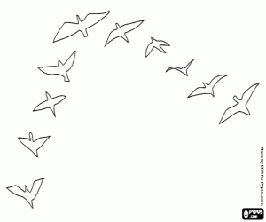 desenho de O dia das aves migratórias para colorir