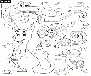 desenho de Diversas espécies de animais da Austrália para colorir