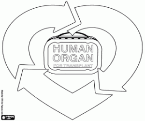 desenho de Doação e transplante de órgãos para colorir