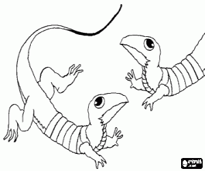 desenho de Dois lagartos face a face para colorir