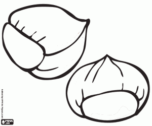 desenho de Duas castanhas crus com casca para colorir