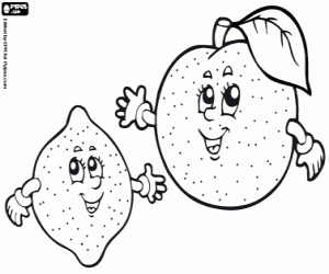 desenho de Duas frutas cítricas. Limão e laranja para colorir