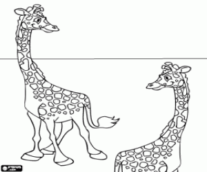 desenho de Duas girafas alegres e divertidas para colorir